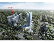 嘉兴海盐城区玖望金邸住宅